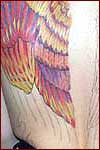 As the wing...