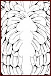 The original black and white design